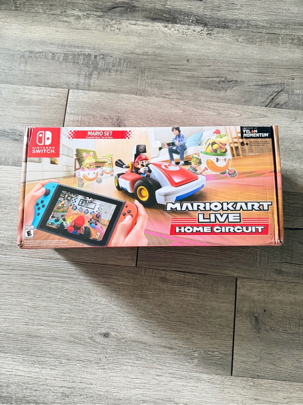 Nintendo Mario Kart Live Home Circuit